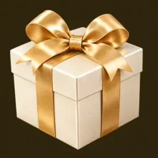 Wrapped gift box — Friday Friday