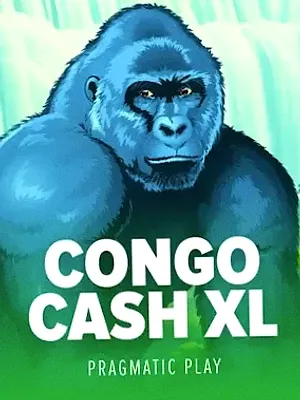 Congo Cash XL at Friday Friday
